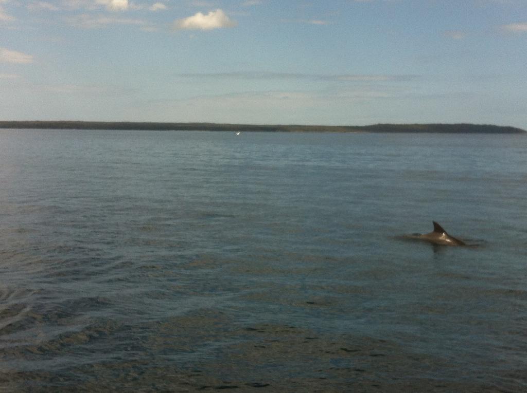 ハスキッソン Jervis Bay Marinersモーテル エクステリア 写真